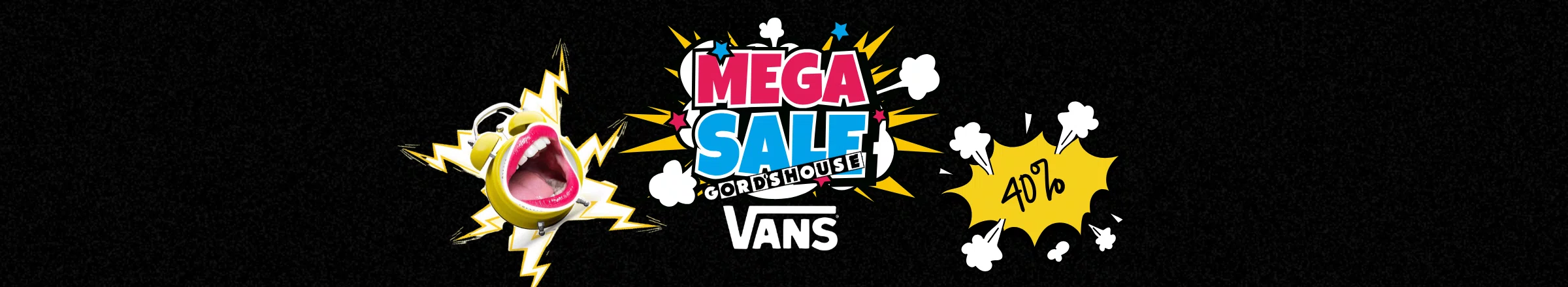 sale vans